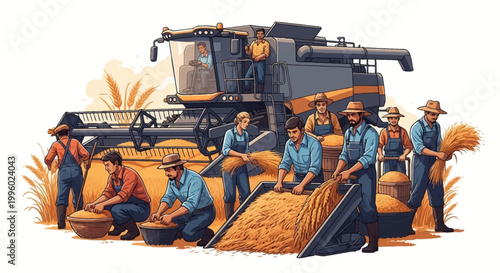 Harvesting grains with a combine harvester and a team of workers, agricultural scene illustration