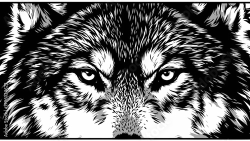 Intense Wolf Face Close-up, Black and White, Fierce Eyes