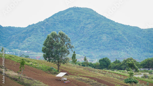 A serene rural landscape featuring a lush green mountain under a bright sky, with farmland in the foreground and scattered trees across the countryside.