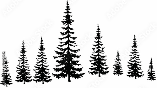 A silhouetted grouping of coniferous trees varying in height and density against a white background