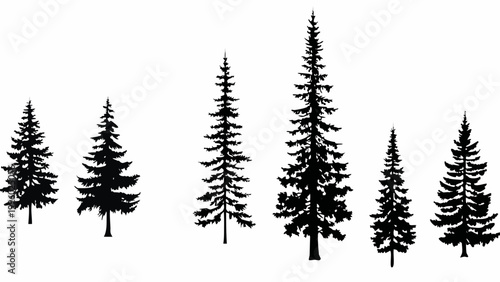A collection of black silhouette pine trees varying in height and density