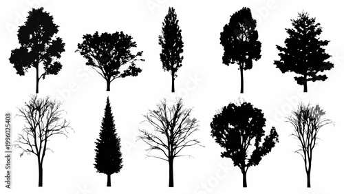 A collection of silhouetted trees showcasing diverse shapes and foliage types