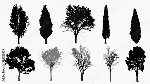 Silhouettes of various trees and shrubs against a plain white background