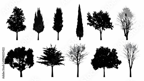 A collection of diverse tree silhouettes against a stark white background