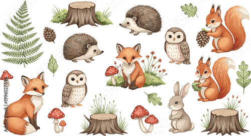 Whimsical forest animals including fox, squirrel, hedgehog, owl, and rabbit with mushrooms and ferns, perfect for woodland illustrations