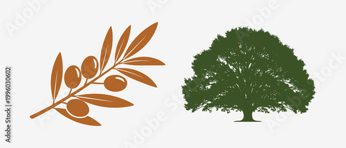 Olive tree branch and full green tree Vector, EPS