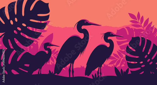 Silhouette of three herons standing among tropical plants at sunset.