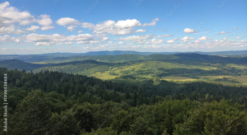 Obraz premium Scenic summer panorama of Bieszczady mountains with lush green forests and sunlit valleys
