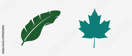 Green feather and maple leaf icons Vector, EPS