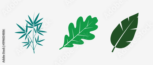 Three green leaf illustrations Vector, EPS
