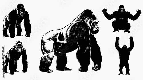 Gorilla Silhouette Collection - Majestic Ape Poses