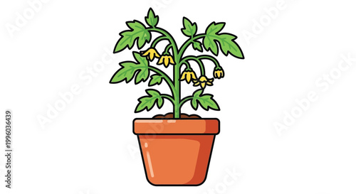 A colorful cartoon illustration depicts a tomato plant with yellow flowers growing in a terracotta pot