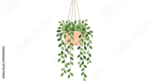 A charming illustration depicts a hanging plant in a decorative peach colored pot with trailing green vines