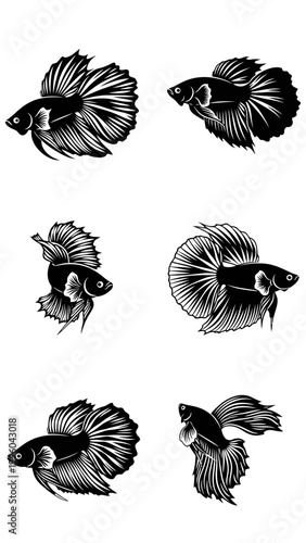 Betta Fish Silhouettes: Elegant Siamese Fighting Fish Illustrations