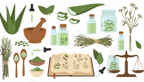 Aloe vera herbal medicine illustrations with natural ingredients and equipment