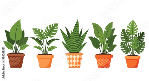 A colorful arrangement of five potted houseplants displaying diverse leaf shapes and textures high quality