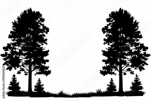 Foto Two silhouetted evergreen trees stand facing each other with grassy ground cover