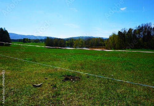Quadro em tela Elektryczny pastuch rozciągnięty wzdłuż łąki wyznacza granicę pastwiska w spokojnym, wiejskim krajobrazie