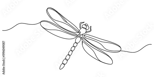 A minimalist black and white continuous line drawing of a dragonfly isolated on a plain white background design. Vector, illustration
