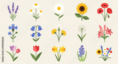 Collection of Various Spring and Summer Flowers Illustration.