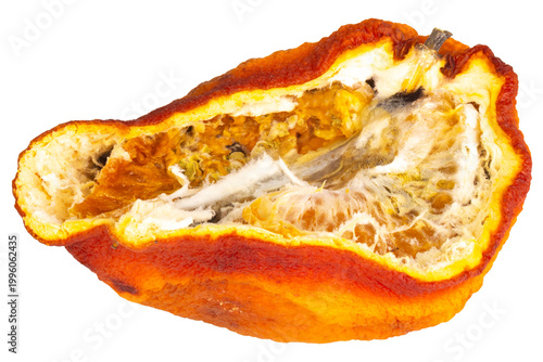 Photos Rotten orange isolated on white background slice