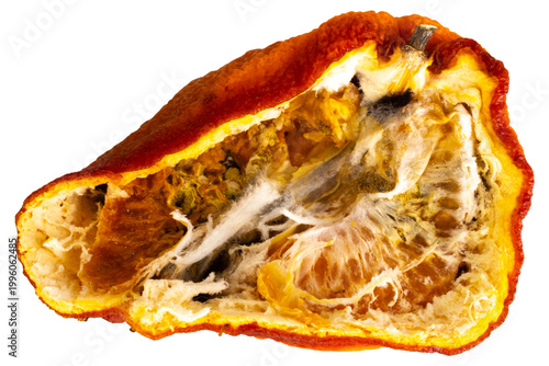 Rotten orange isolated on white background slice