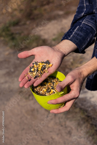 Man's hands holding a handful of mixed grains and seeds for feeding birds