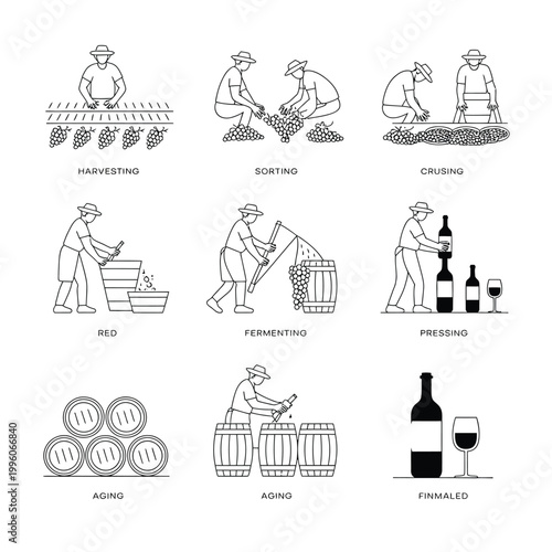 Wine production process illustrated in a series of vector icons