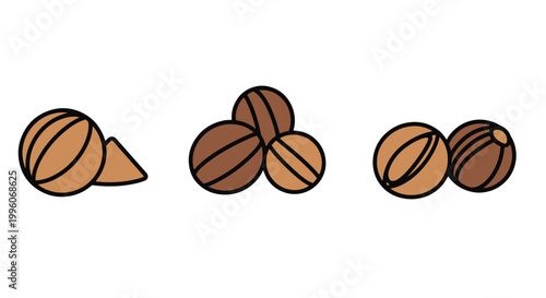 Ground Nutmeg Seeds Line art minimal geometric abstract color illustration
