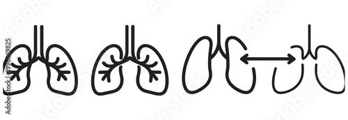 Human lungs diagram showing expansion and contraction with double-headed arrow