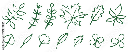 Botanical sketch collection with simple leaf shapes isolated on white background. Set of crayon hand drawn green leaf doodles.