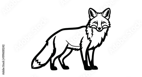 Black and white illustration of a standing fox