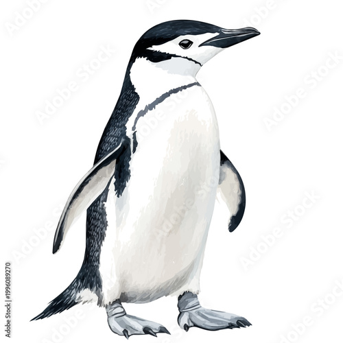Foto Chinstrap Penguin, watercolor vector portraying a joyful pose with colorful highlights, isolated on a white background