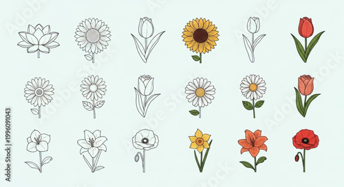 Collection of Various Flowers and Botanical Illustrations.