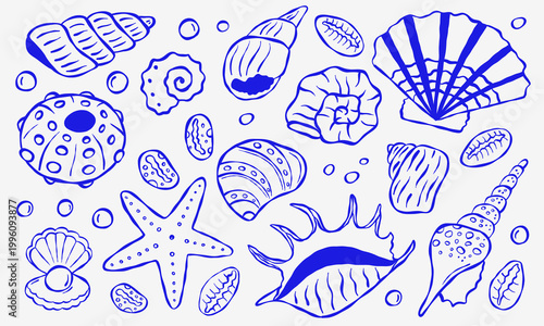 Hand-drawn outline of ocean creatures and shells