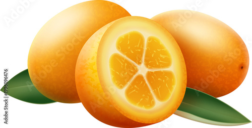 orange and lemon, Lemons and oranges on a branch. Watercolor illustrartion of citrus tree fruit with leaves.