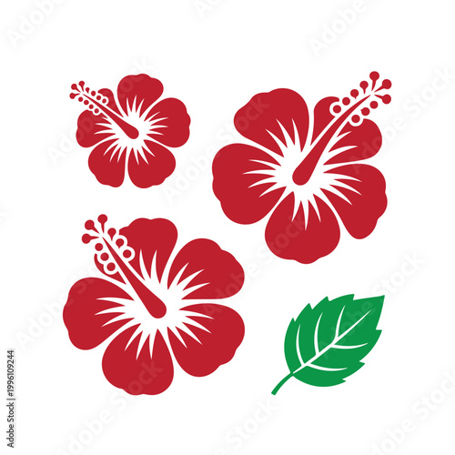 hibiscus flower icon vector