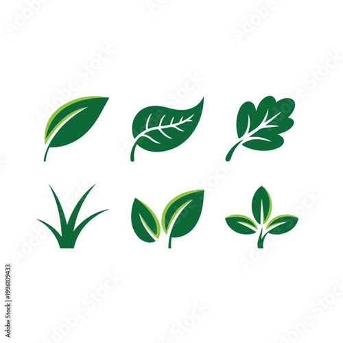 green leaf icon