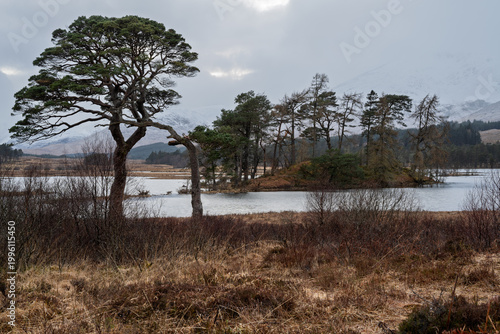 Loch Tulla at sunset