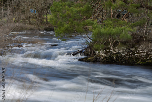 river in the forest