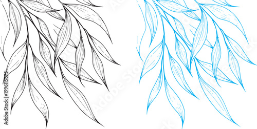 bamboo background vector illustration