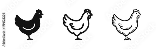 Farm Chicken Hen Bird Icon Set - Solid, Outline, and Hand-Drawn Styles