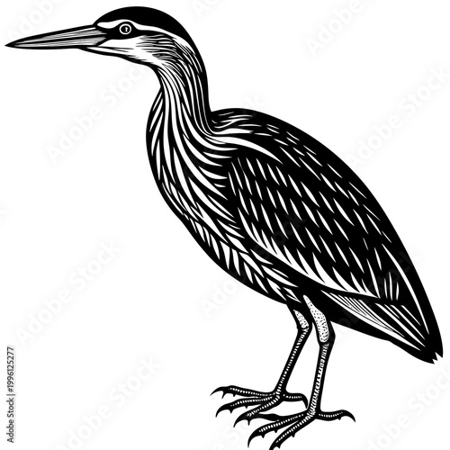 A black and white illustration of a heron standing with its long neck and legs, showcasing its detailed feathers and sharp beak in a striking pose.