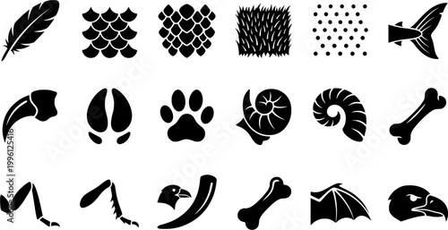 18 Black and White Animal Anatomy Body Part Vector Icons Flat Line Art
