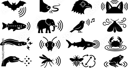 16 Black and White Animal Sensory Perception Vector Icons Flat Line Art
