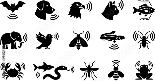 16 Black and White Animal Sensory Perception Vector Icons Flat Line Art
