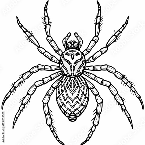 A detailed black and white illustration of a spider with intricate patterns and textures on its body and legs, set against a plain white background.