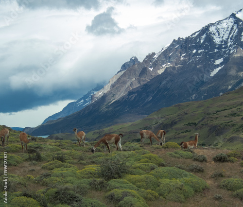 Patagonia Mountains
