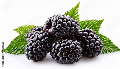 fresh blackberries isolated on a white background