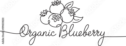 Blueberry vector illustration. One line drawing art illustration with lettering organic blueberry. Blueberries in continuous line art drawing style. one line Icon drawing
